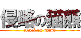 侵略の猫熊 (attack on panda)