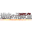 进击の沼跃鱼 (attack on Marshtomp)