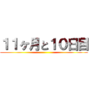 １１ヶ月と１０日目 ()