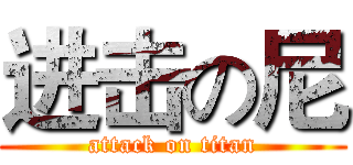 进击の尼 (attack on titan)