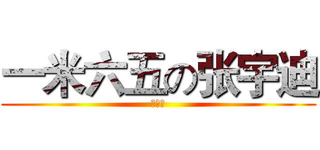 一米六五の张宇迪 (哦呵呵)