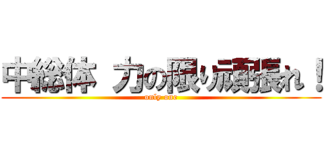 中総体 力の限り頑張れ！ (only one)