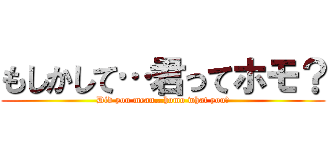 もしかして…君ってホモ？ (Did you mean…homo what you?)