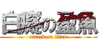 白癡の盈魚 (attack on titan)