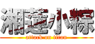 湘蓮小粽 (attack on titan)