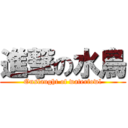 進撃の水鳥 (Onslaught of waterfowl)