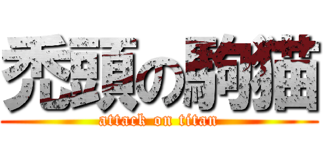 禿頭の駒猫 (attack on titan)