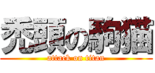 禿頭の駒猫 (attack on titan)