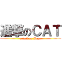 進撃のＣＡＴ (attack on Bepo)