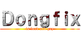 Ｄｏｎｇｆｉｘ (is loud and gay)