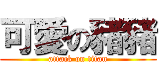 可愛の豬豬 (attack on titan)