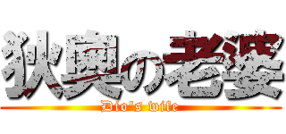 狄奧の老婆 (Dio\'s wife)