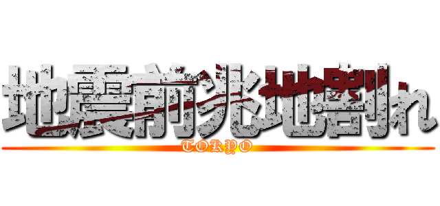 地震前兆地割れ (TOKYO)