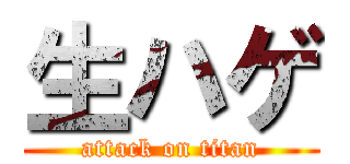 生ハゲ (attack on titan)