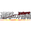 進撃の翔陽 (文化祭)