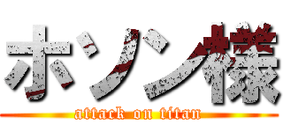ホソン様 (attack on titan)