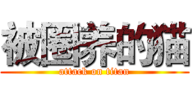 被圈养的猫 (attack on titan)