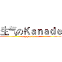 生气のＫａｎａｄｅ (angry on kanade)