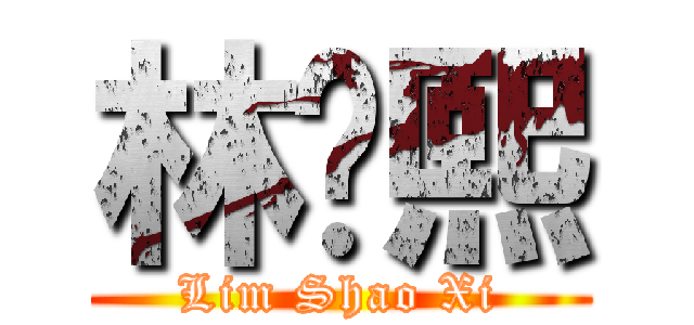 林绍熙 (Lim Shao Xi)