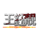 王鈺靓 (liangyu wang )
