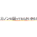 カノンの狙ってなんかいませんー (attack on titan)