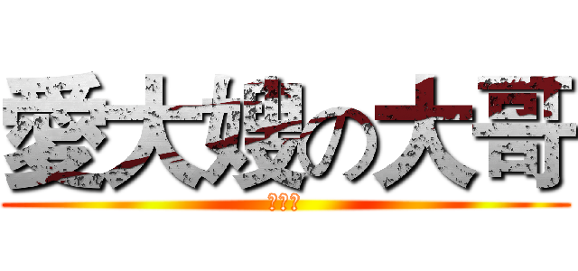 愛大嫂の大哥 (啪啪啪)