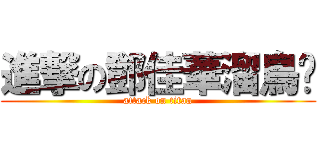 進撃の鄧佳華溜鳥俠 (attack on titan)