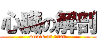 心臓の解剖 (attack on titan)