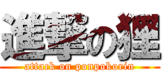 進撃の狸 (attack on ponpokorin)