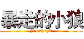 暴走的小狼 ((～ o ～)~zZ)