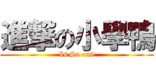 進撃の小學鴨 (Is So on9)