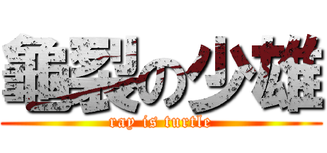 龜裂の少雄 (ray is turtle)