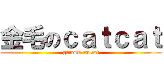 金毛のｃａｔｃａｔ (gummo on cat)