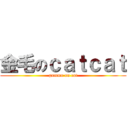 金毛のｃａｔｃａｔ (gummo on cat)