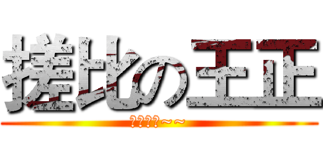 搓比の王正 (你个吊毛~~)