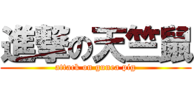 進撃の天竺鼠 (attack on gunea pig)