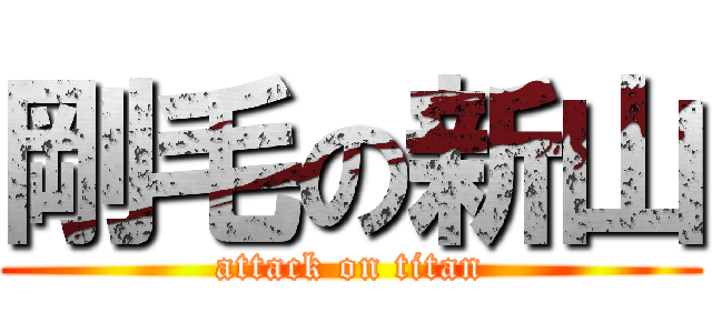 剛毛の新山 (attack on titan)