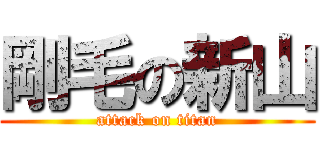 剛毛の新山 (attack on titan)