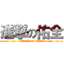 進撃の佑全 (attack on titan)