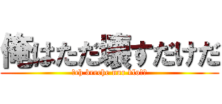 俺はただ壊すだけだ (Ｉch breche nur bloｓｓ)