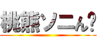 桃熊ソニん゙ ()