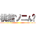 桃熊ソニん゙ ()