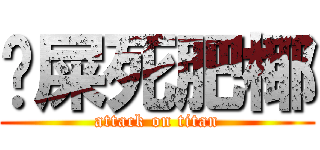 吔屎死肥椰 (attack on titan)