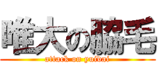 唯大の脇毛 (attack on yuidai)