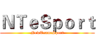ＮＴｅＳｐｏｒｔ (NewTeameSport)