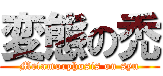 変態の禿 (Metamorphosis on syu)