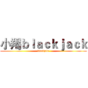 小羯ｂｌａｃｋｊａｃｋ (blackjake)