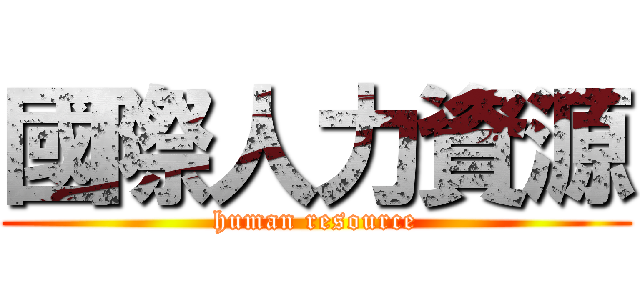 國際人力資源 (human resource)