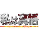 私は真悟 (my name is shingo)