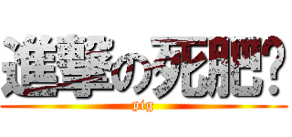 進撃の死肥佬 (pig)